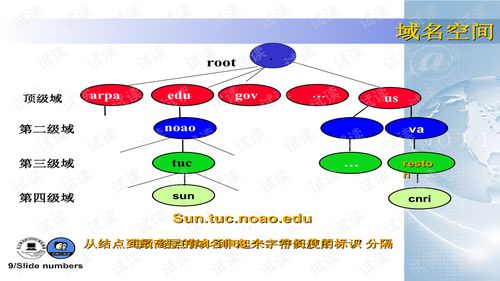 新手网络工程师 计算机网络应用层协议与应用